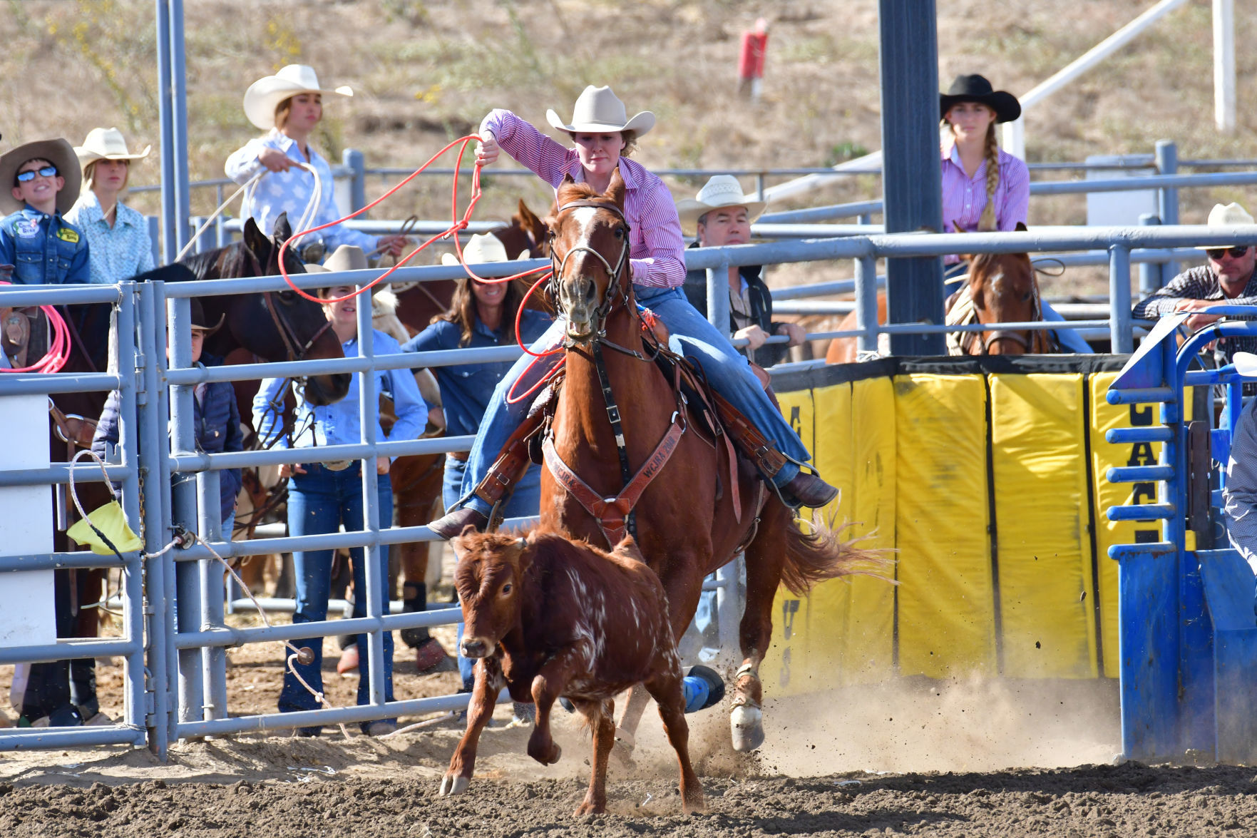 101919 CHSRA District 7 High School Rodeo 24